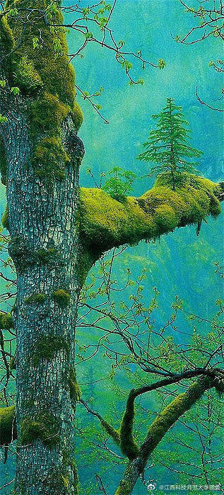 2、激光刻字機打塑膠出泡如何解決